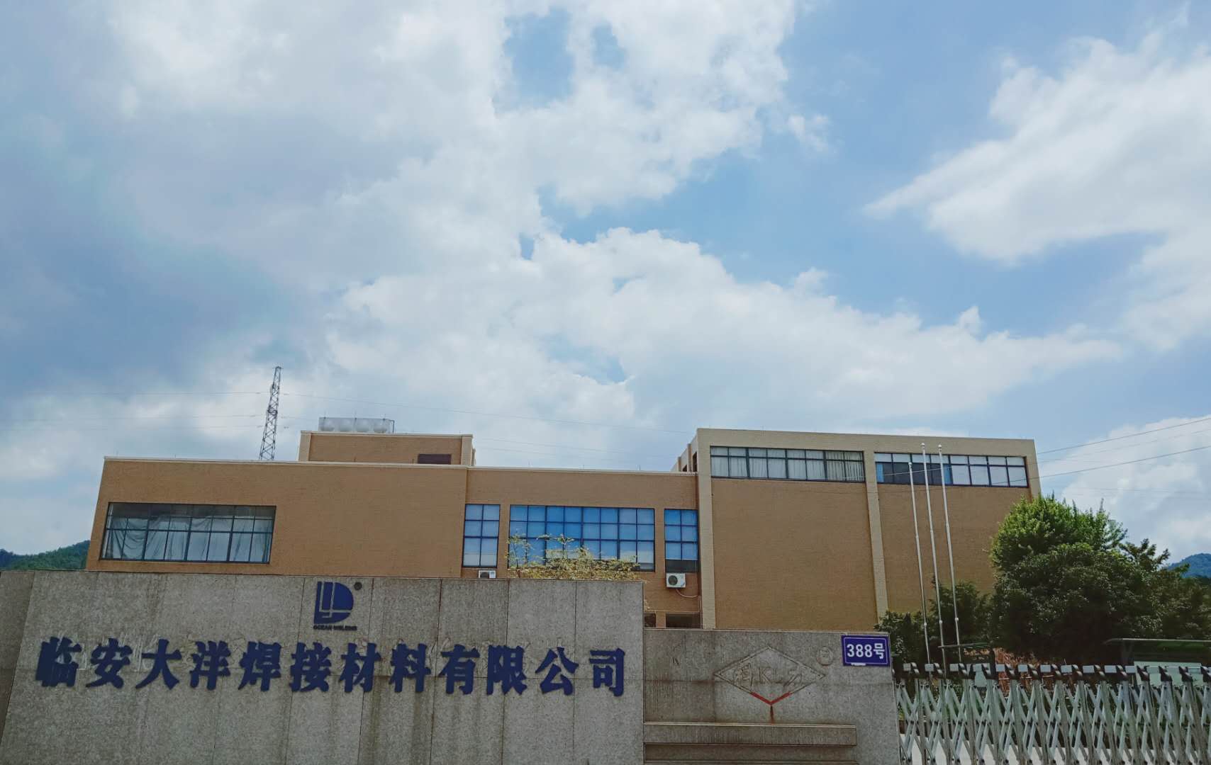 临安 大洋